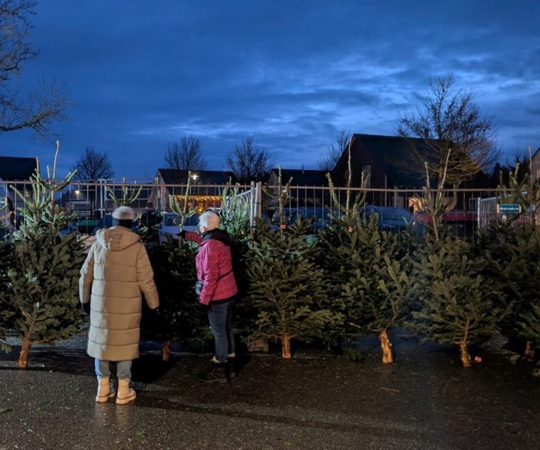 Adventsmarkt